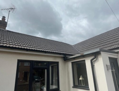 Roof Replacement Near Me